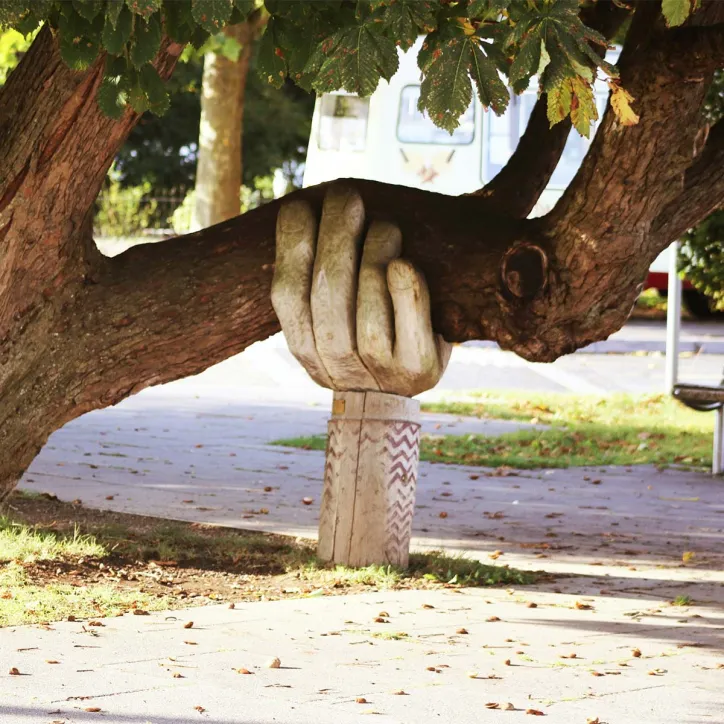 Donation til Klimaskovfonden