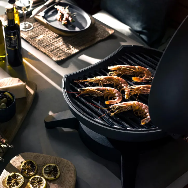 Piccolo gasgrill, 3 stk Orrefors kinve og skærebræt - 2