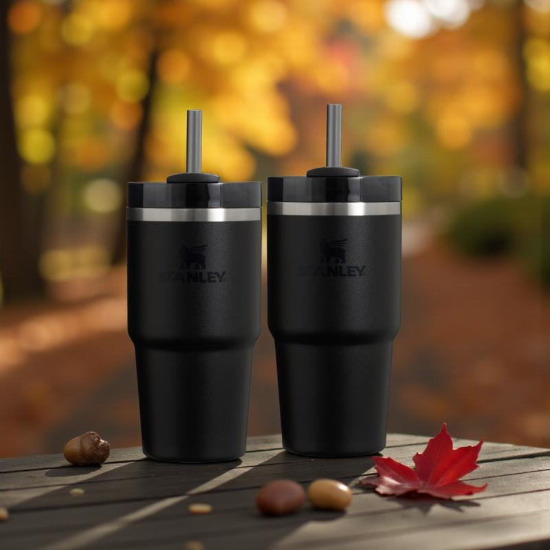 2 stk. Stanley The Quencher Tumbler 0,6L sort