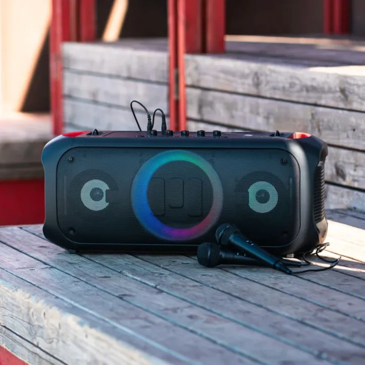 MIIEGO MiiSOUND GIGANT Højttaler, 2 Mikrofoner