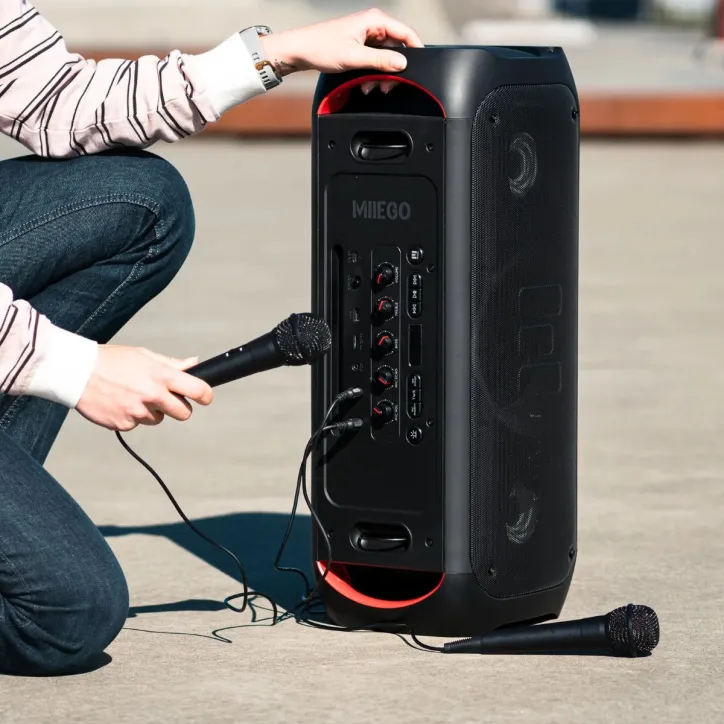 MIIEGO MiiSOUND GIGANT Højttaler, 2 Mikrofoner