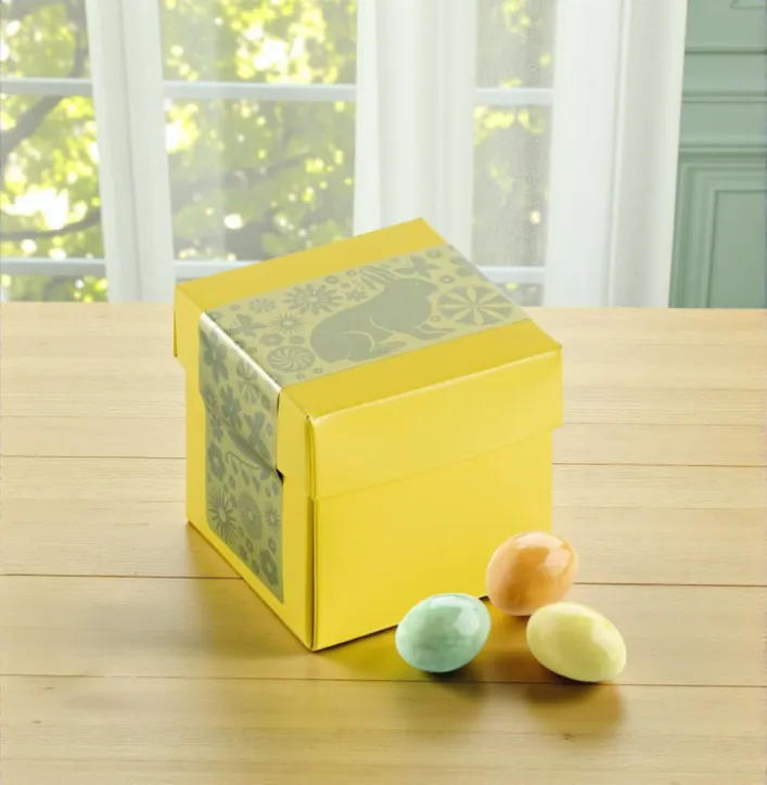 Bon Coca surprisebox