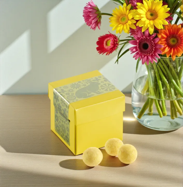 Bon Coca surprisebox