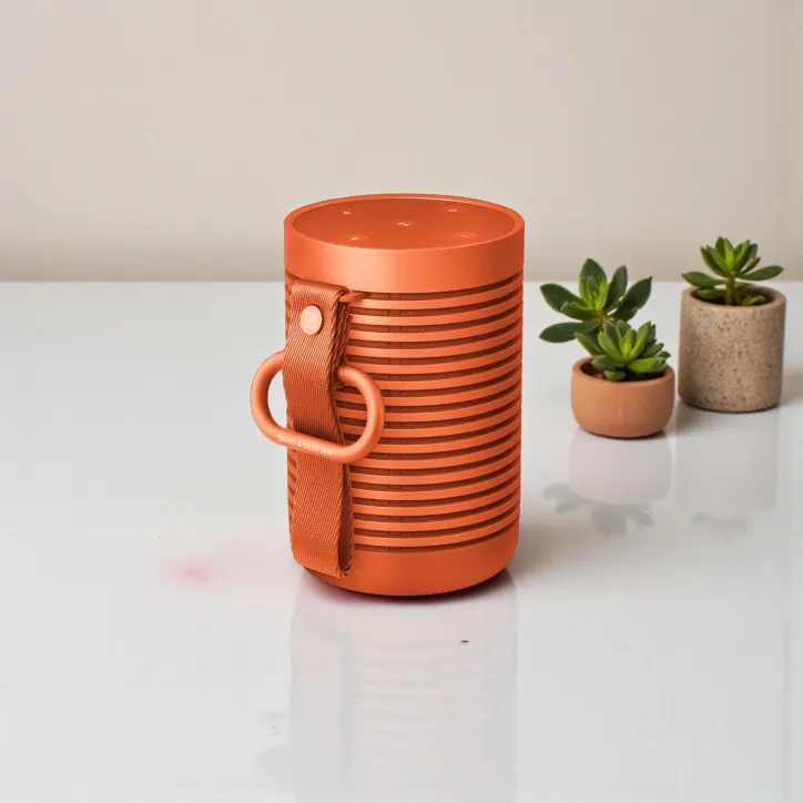 Bang & Olufsen Beosound Explore Sort