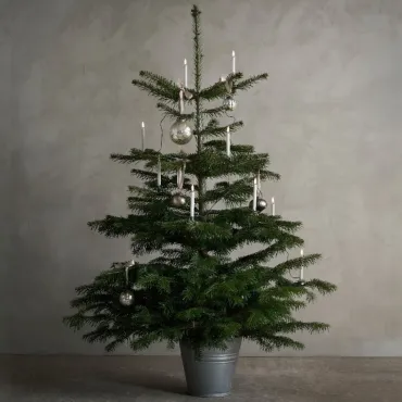 Uyuni juletræskæde med LED lys